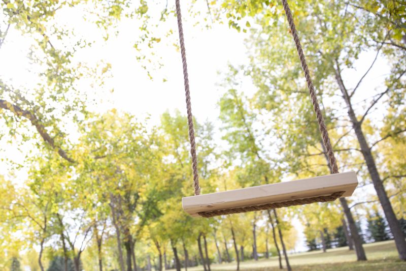 Swing Assembly in Kansas City, KS